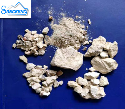 �X�\�����ϏS�҈D