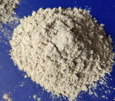 �X���}�ۃr(ji��)��S�҈D